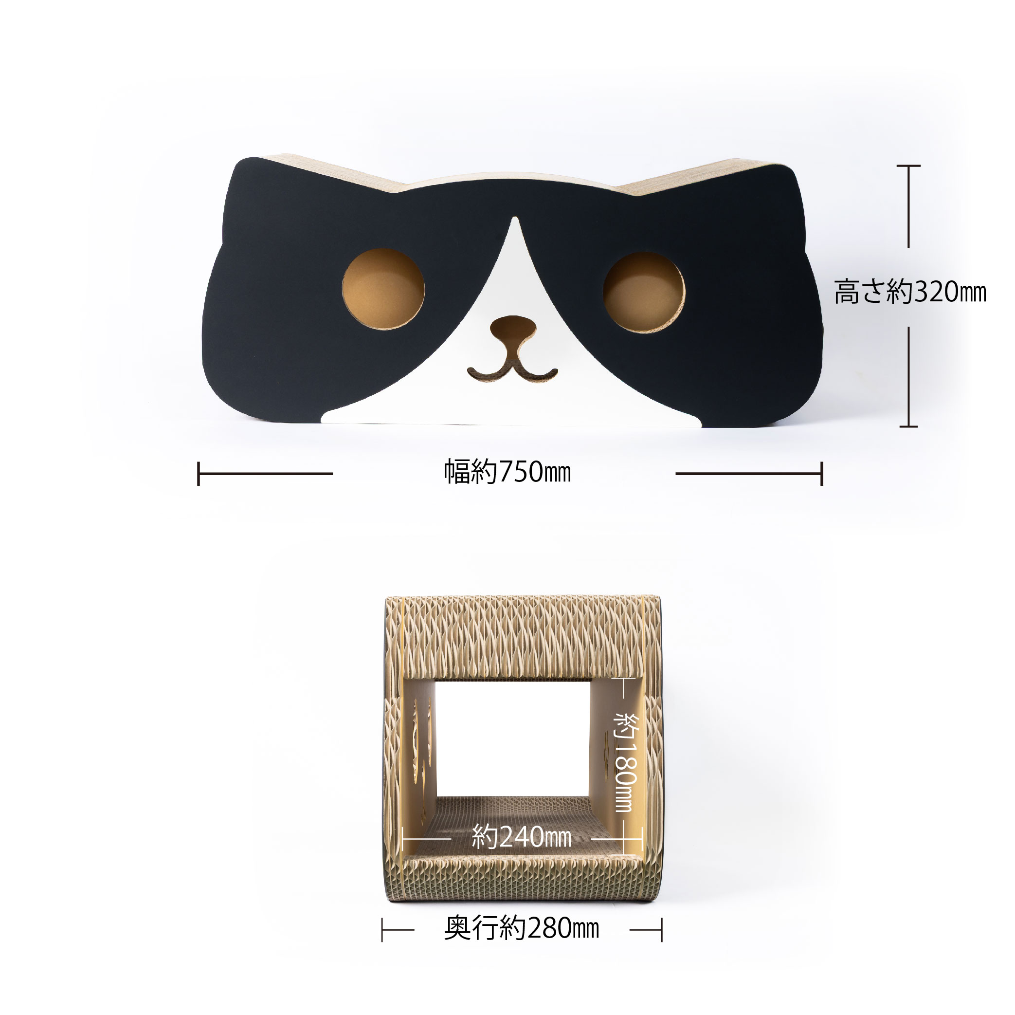 ハチワレの画像