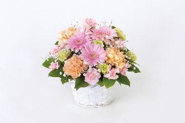 ［祝花］アレンジメント（ホワイトバスケット）の画像