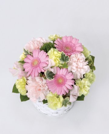 ［供花］ペット用お供え花の画像