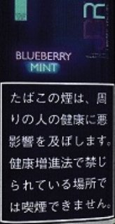 JBR　ブルーベリーミント　30ｇ　の画像