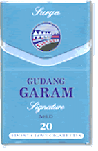 ガラム　シグネチャーマイルド20　箱(20本)の画像