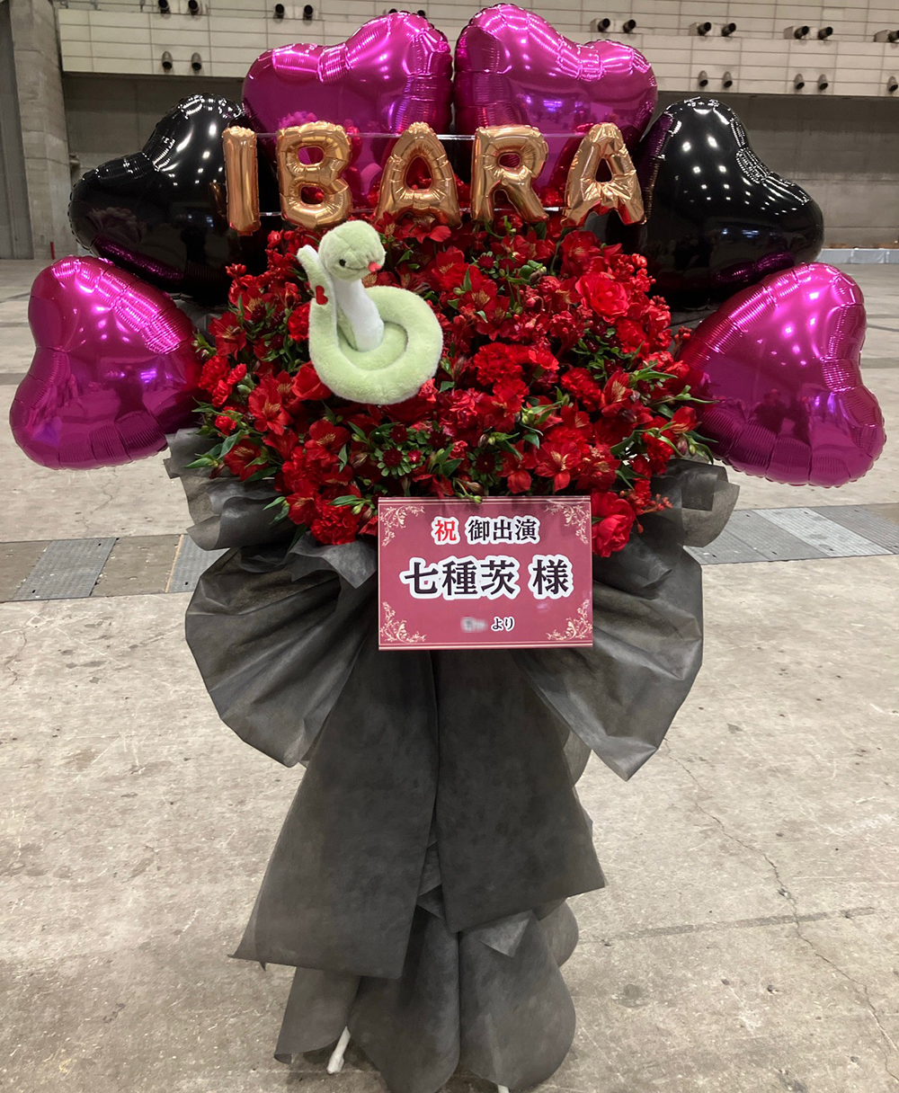 あんさんぶるスターズ!! DREAM LIVE Tour 10th *ALL STARS!!　幕張メッセ