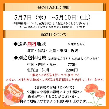 母の日 ギフト プレゼント 花 アレンジメント ひまわり フラワー 生花 誕生日 お祝い 記念日 （母の日ピック付き）の画像