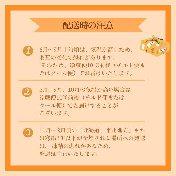 母の日 ギフト プレゼント 花 アレンジメント ひまわり フラワー 生花 誕生日 お祝い 記念日 （母の日ピック付き）の画像