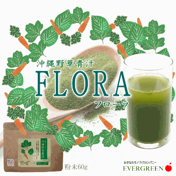 【お試しパック】太陽の野草パウダー「FLORA（フローラ）」20gの画像