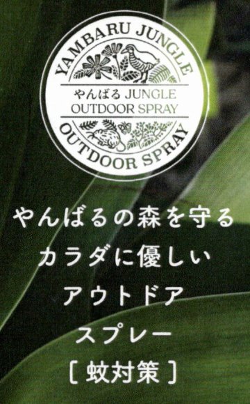 やんばるジャングル アウトドアスプレー 100ml [虫・蚊よけ対策] ボディ用化粧水の画像