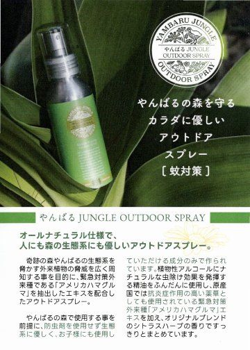 やんばるジャングル アウトドアスプレー 100ml [虫・蚊よけ対策] ボディ用化粧水の画像