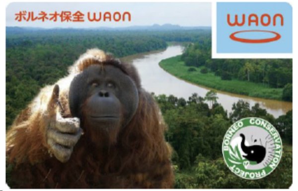 ボルネオ保全WAONカードの画像