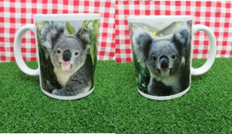 【SALE】オンラインショップ限定マグカップ（陶磁器製）※納めている小箱に痛み等があります。の画像