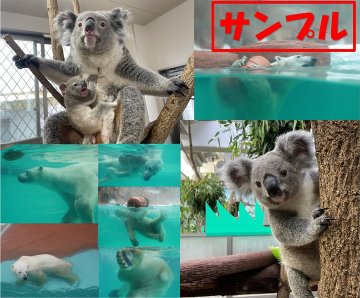 平川動物公園　オンラインショップ限定セット②　【セットの内容はそれぞれ違いますのでご確認ください】画像