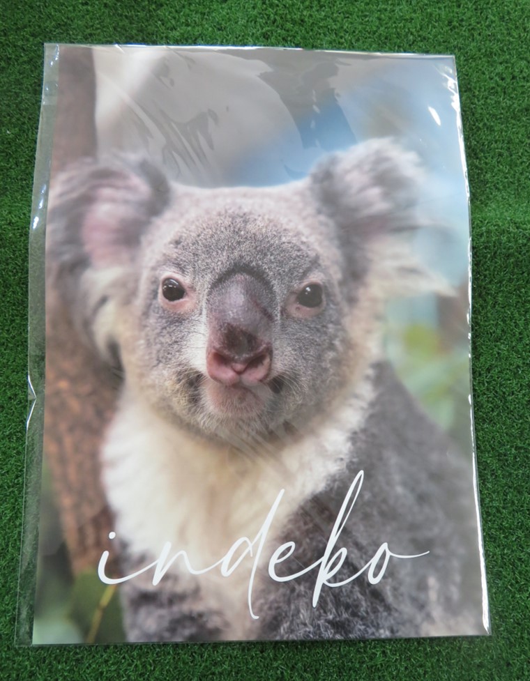 【ＳＡＬＥ】お風呂ポスターの画像