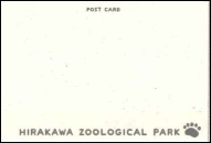オリジナルポストカード（A6ミニクリアファイル＆ポストカード4枚【レッサーパンダ・コアラ・ホッキョクグマ・ホワイトタイガー】）画像