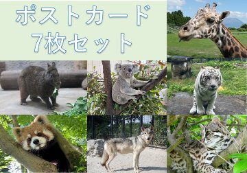 2025平川動物公園オリジナルポストカードセット(全7枚)の画像