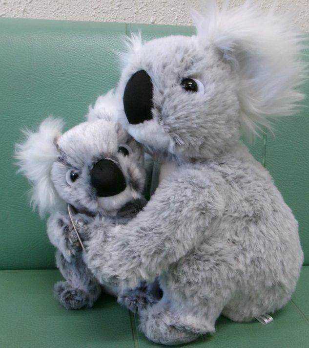 オリジナルコアラぬいぐるみ※写真はSとMです（各別売り）の画像