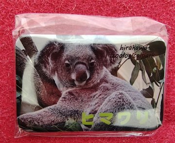 【再入荷:8月12日AM9:00】2026コアラ缶バッジ【お取り置き希望の方は説明文をご確認下さい】の画像