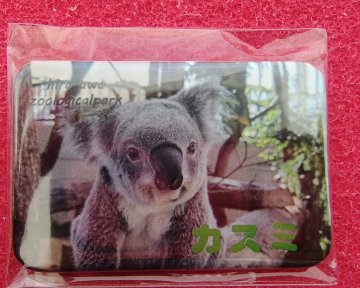 【再入荷:8月12日AM9:00】2026コアラ缶バッジ【お取り置き希望の方は説明文をご確認下さい】の画像