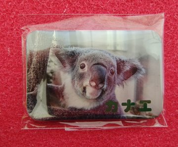 【再入荷:8月12日AM9:00】2026コアラ缶バッジ【お取り置き希望の方は説明文をご確認下さい】の画像