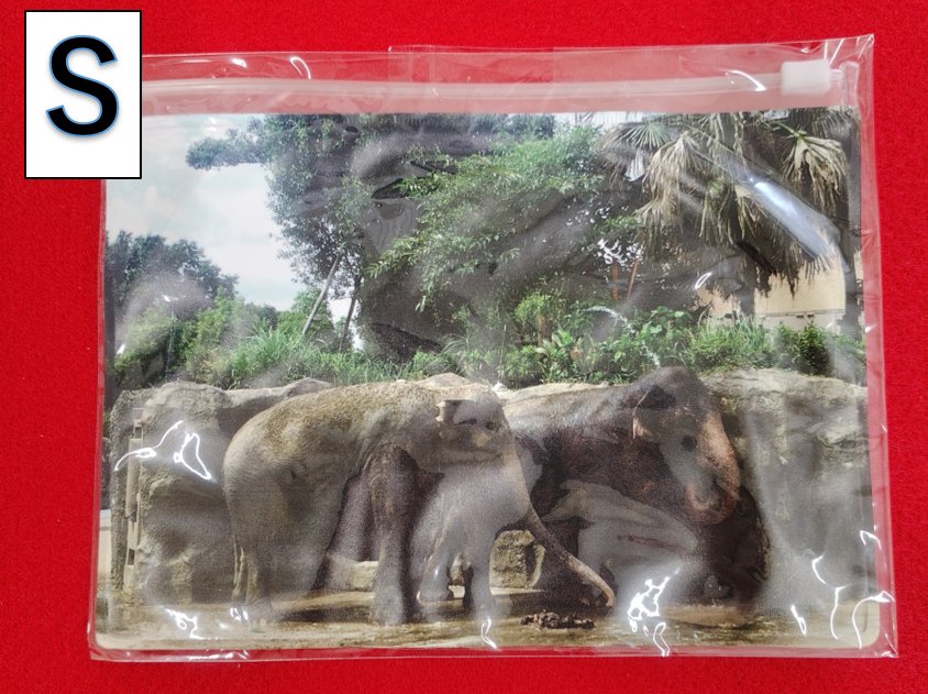 インドゾウ【ラウナ・アンリ―】片面クリアポーチ（Mサイズ,Sサイズ）の画像