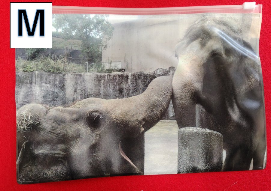 インドゾウ【ラウナ・アンリ―】片面クリアポーチ（Mサイズ,Sサイズ）の画像