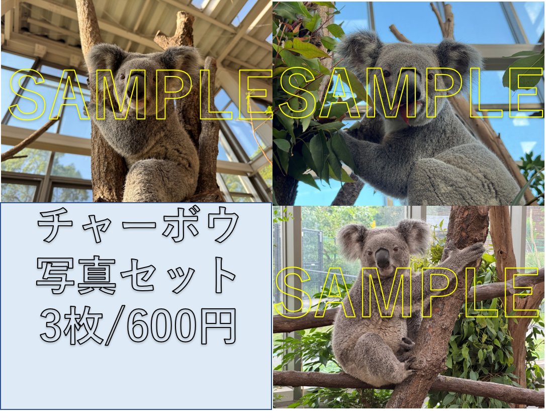 【園内では販売中＆10/24～】【オンラインショップ10/26開始】ありがとうグッズ【発送まで1週間ほどかかる場合があります】の画像