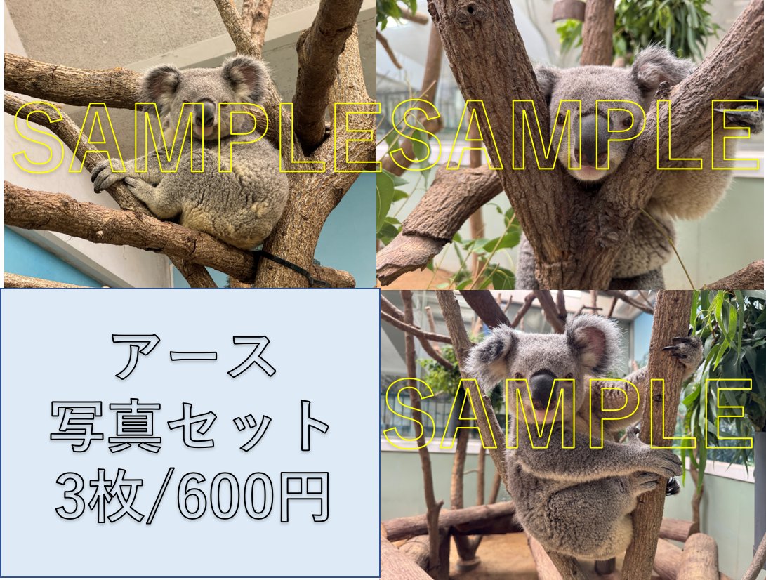 【園内では販売中＆10/24～】【オンラインショップ10/26開始】ありがとうグッズ【発送まで1週間ほどかかる場合があります】の画像