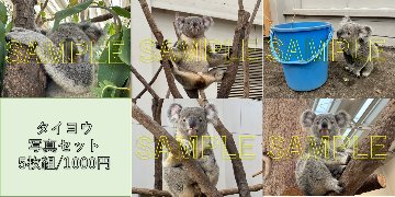【園内では販売中＆10/24～】【オンラインショップ10/26開始】ありがとうグッズ【発送まで1週間ほどかかる場合があります】の画像