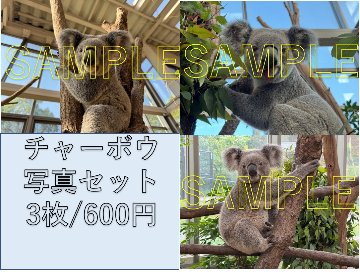 【園内では販売中＆10/24～】【オンラインショップ10/26開始】ありがとうグッズ【発送まで1週間ほどかかる場合があります】の画像
