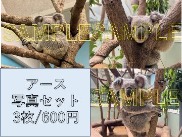 【園内では販売中＆10/24～】【オンラインショップ10/26開始】ありがとうグッズ【発送まで1週間ほどかかる場合があります】の画像