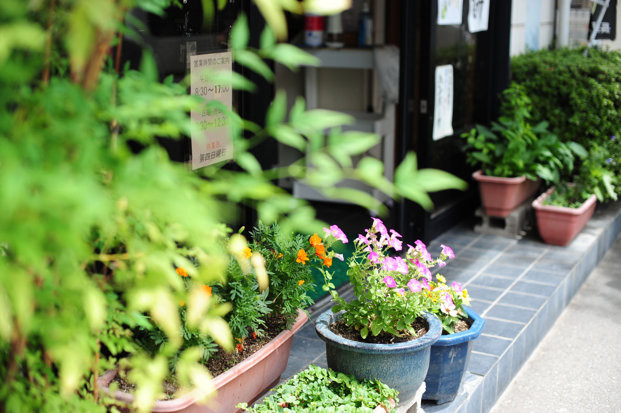 国内産 だいこん | Online Delivery｜毎日の生活に必要なものを最短当日お届け