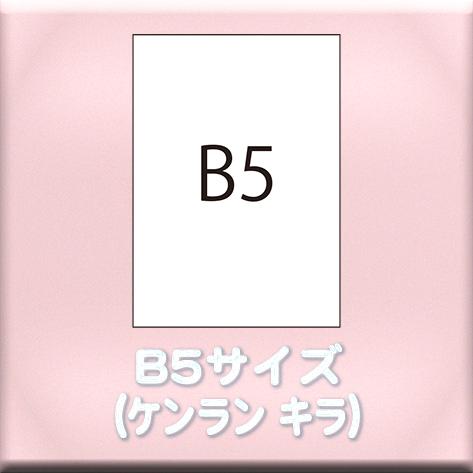 B5サイズ（用紙名 ケンラン キラ）の画像