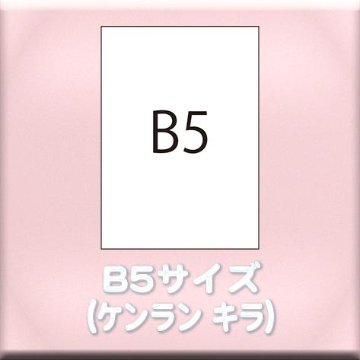 B5サイズ（用紙名 ケンラン キラ）の画像