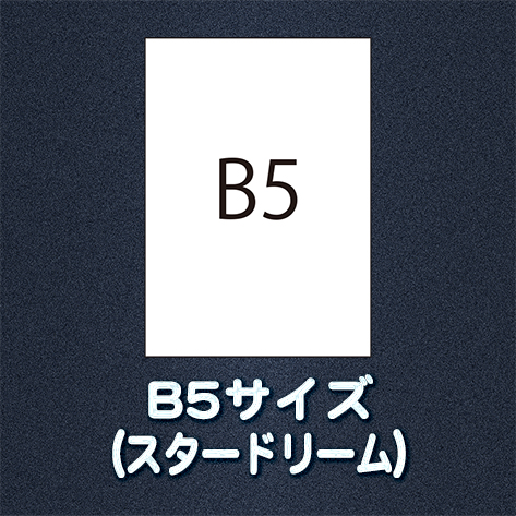 B5サイズ（用紙名 スタードリーム）の画像