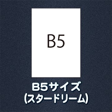 B5サイズ（用紙名 スタードリーム）画像