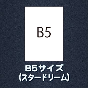 B5サイズ（用紙名 スタードリーム）の画像