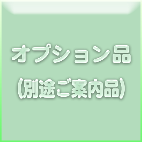 オプション品（別途ご案内品）画像