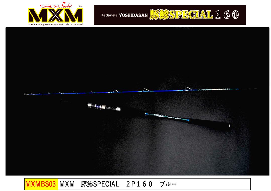 MXM　豚鯵SPECIAL１６０　ブルー　送料無料の画像