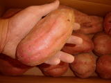 安納紅芋Ｌ（２箱）画像
