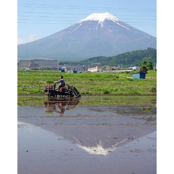 富士山天空絵巻　吟醸　180㎖画像