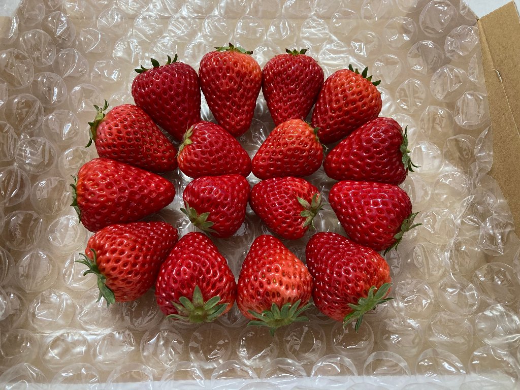 　MIX（サイズ、形いろいろ）300ｇ　紅ほっぺの画像