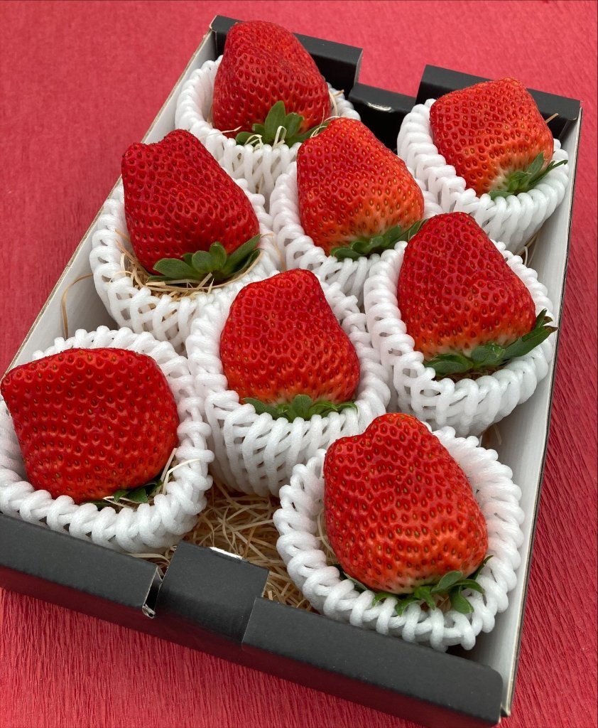 　期間限定　プレミアムイチゴ（特大サイズ）280g以上 (1粒35g以上)　紅ほっぺの画像