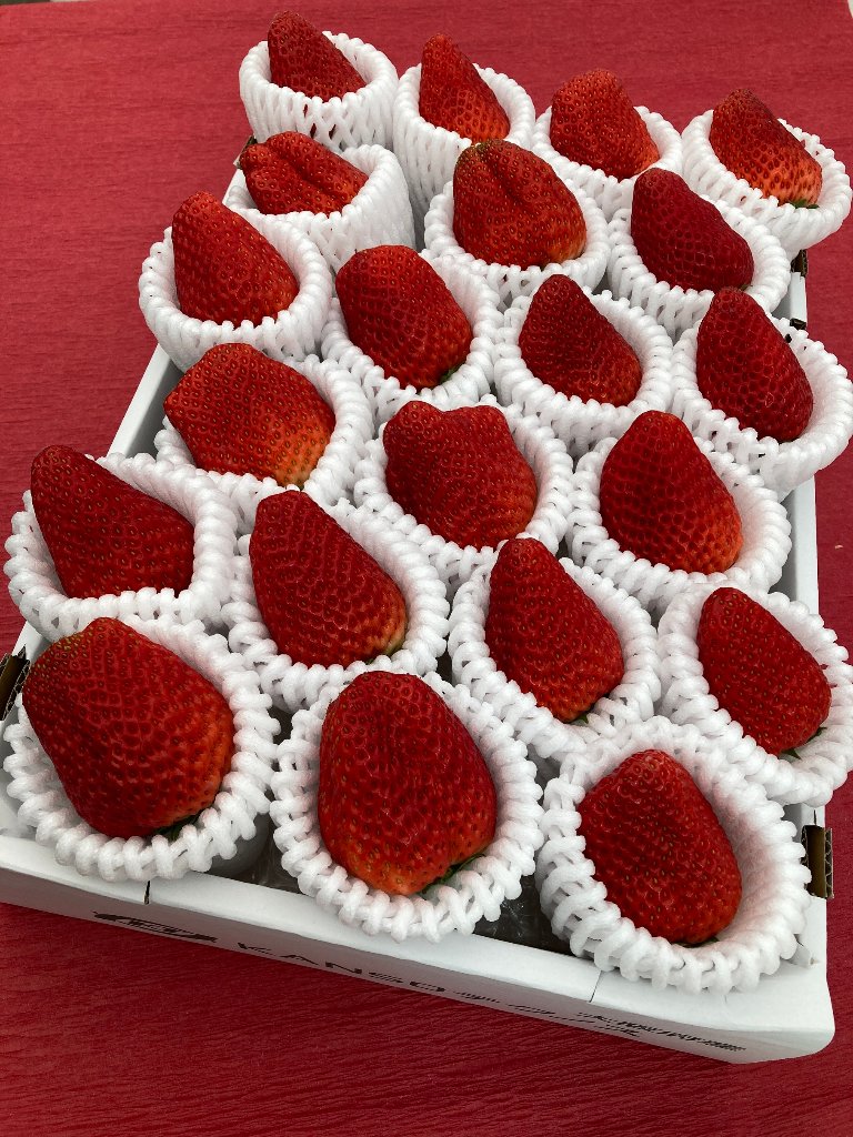 　期間限定　プレミアムイチゴ（特大サイズ）20～21粒 735g以上 (1粒35g以上)　紅ほっぺの画像