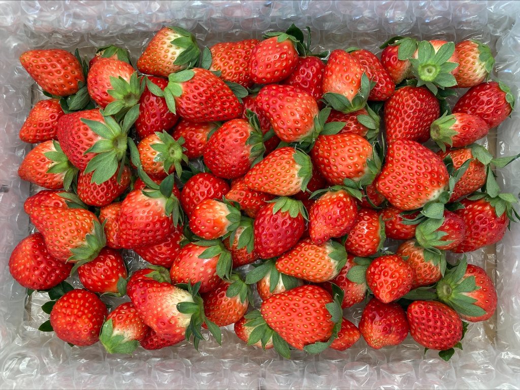 MIXいちご　1kg 『バラ詰め』 紅ほっぺの画像
