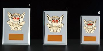 D068（ワシ）の画像