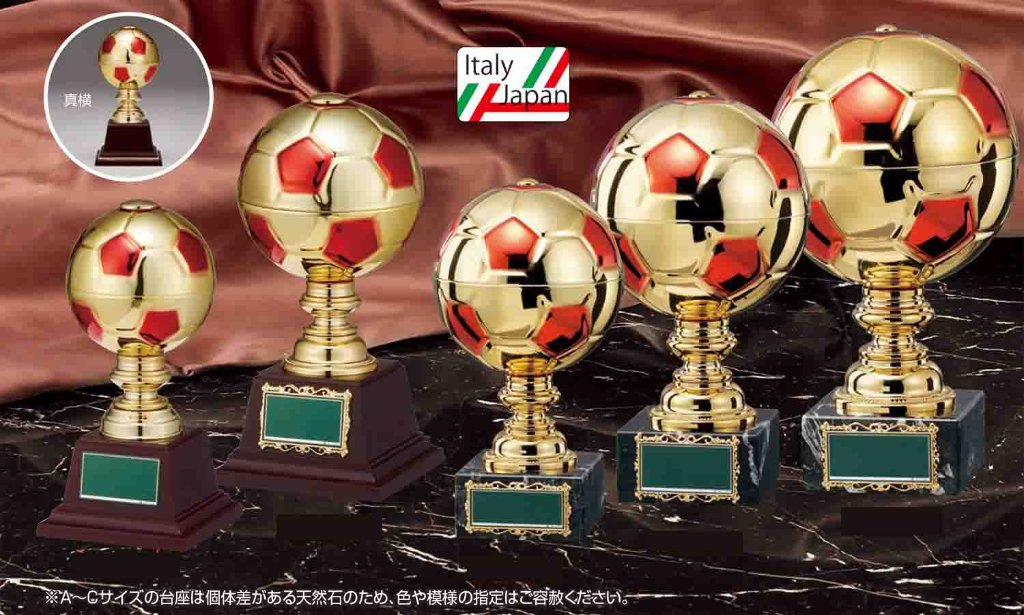 BT-2329（サッカー）の画像