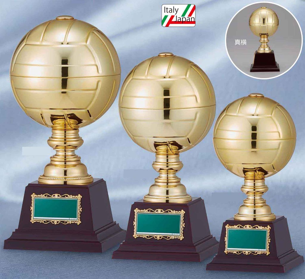 BT-2341（ﾊﾞﾚｰﾎﾞｰﾙ）の画像