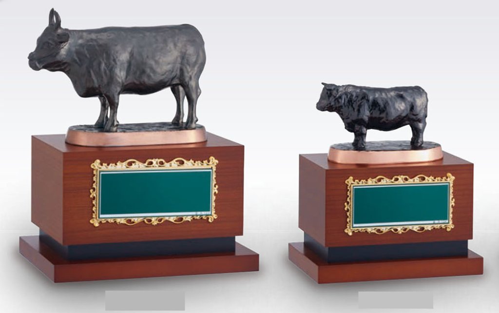 BT-2352(肉牛）の画像