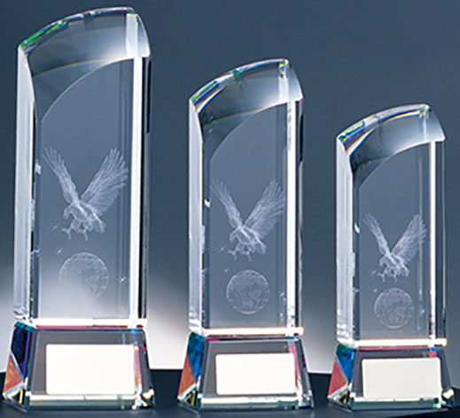 BW-2156（ワシ）の画像