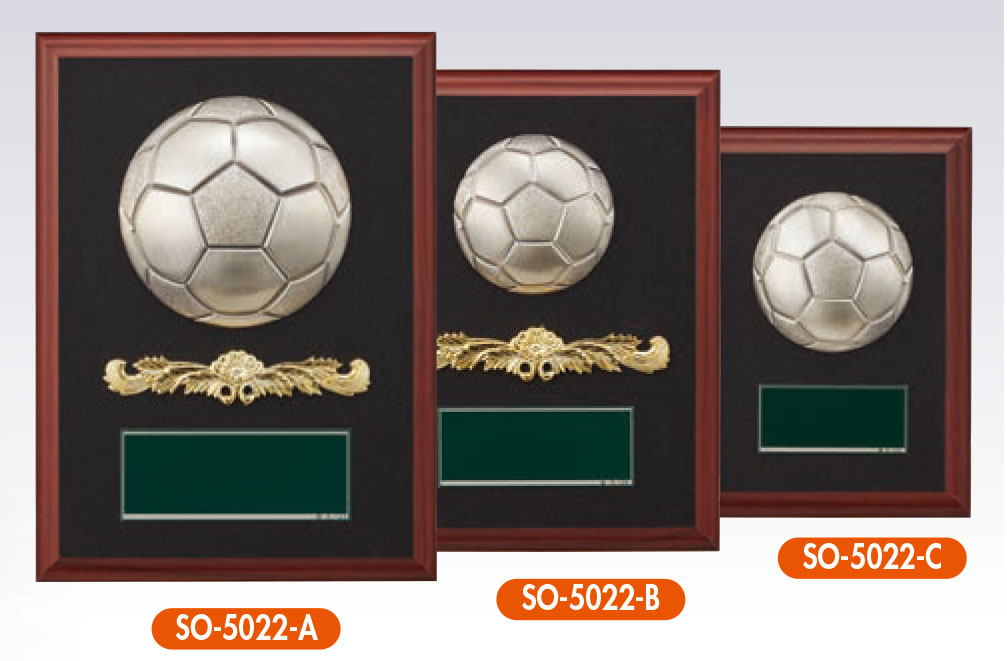 SO-5022（サッカー）の画像