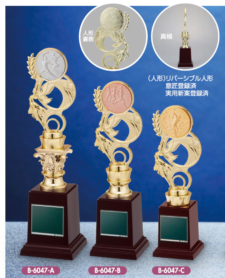 B-6048（ワシ）の画像