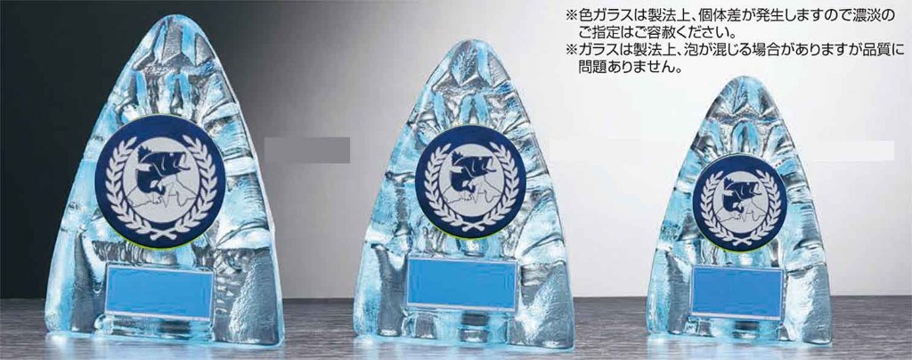 RS-6092-1（ﾌﾞﾗｯｸﾊﾞｽ）の画像